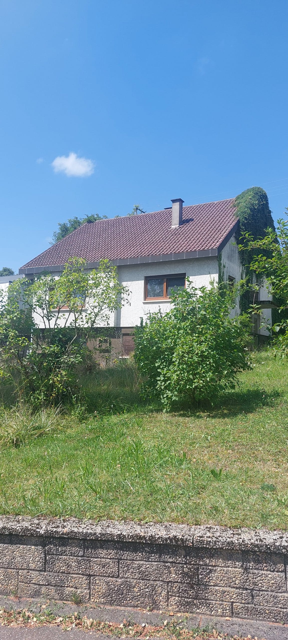 Sanierung Vorher